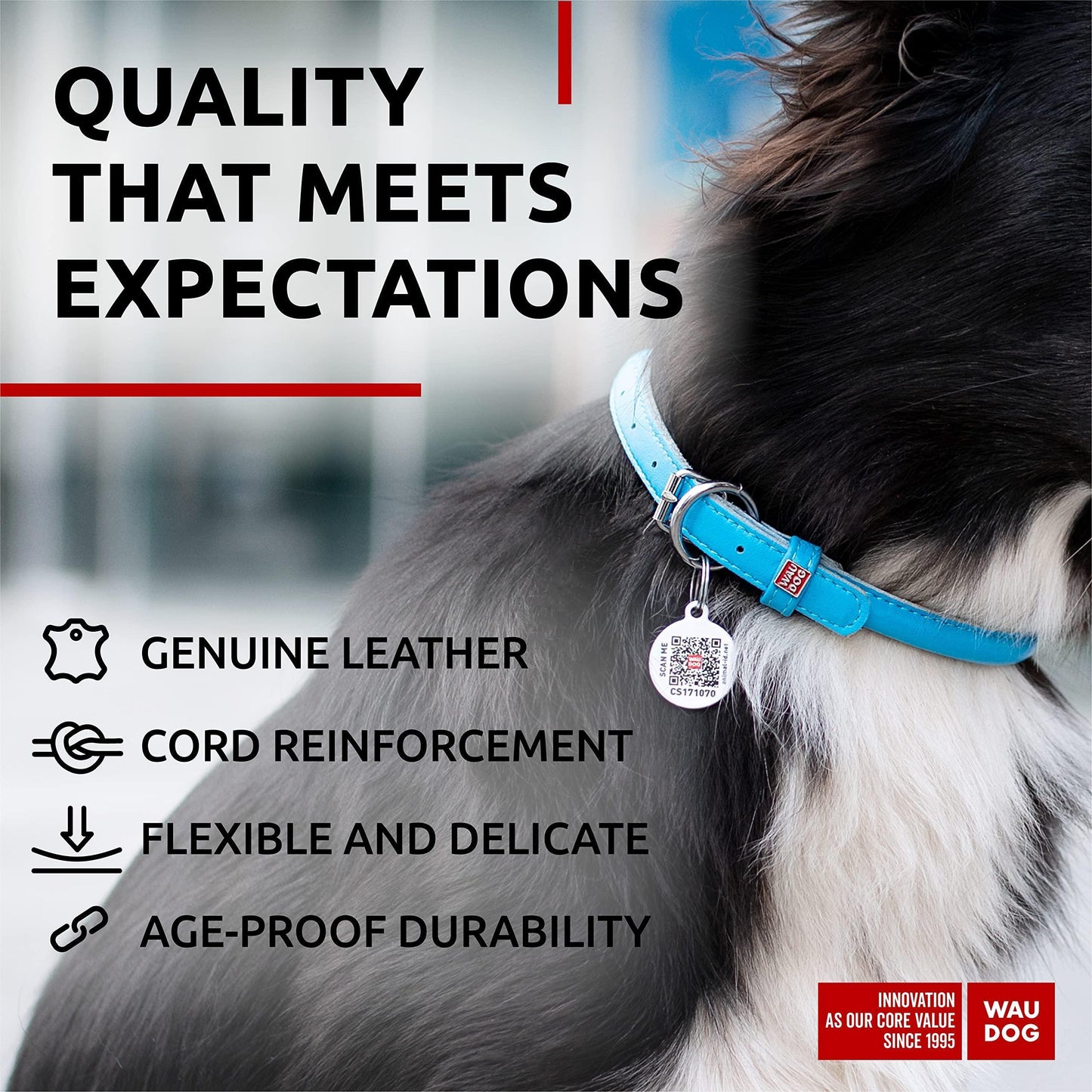 WAUDOG Ultra Soft Rolled Leather Dog Collar for Small Dogs Soft Padded Dog Collars for Medium Dogs Puppy Collars for Large Breed Dogs Male and Female Dog Collar