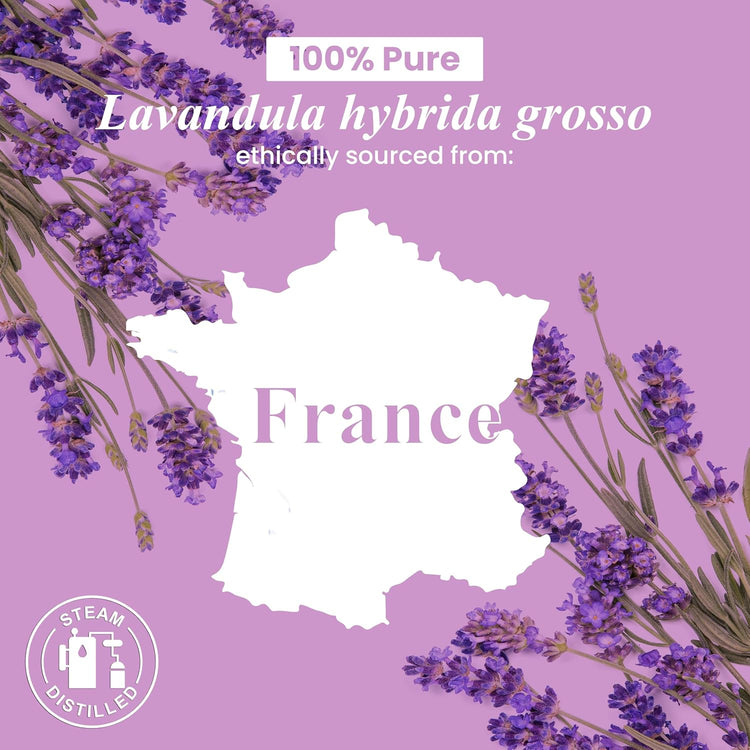 Lavender Essential Oil – Huge 4 Fl Oz – 100% Pure and Natural – Premium Grade Essential Oil for Diffuser and Aromatherapy, Skin, Massage, Candle and Soap Making Fragrance