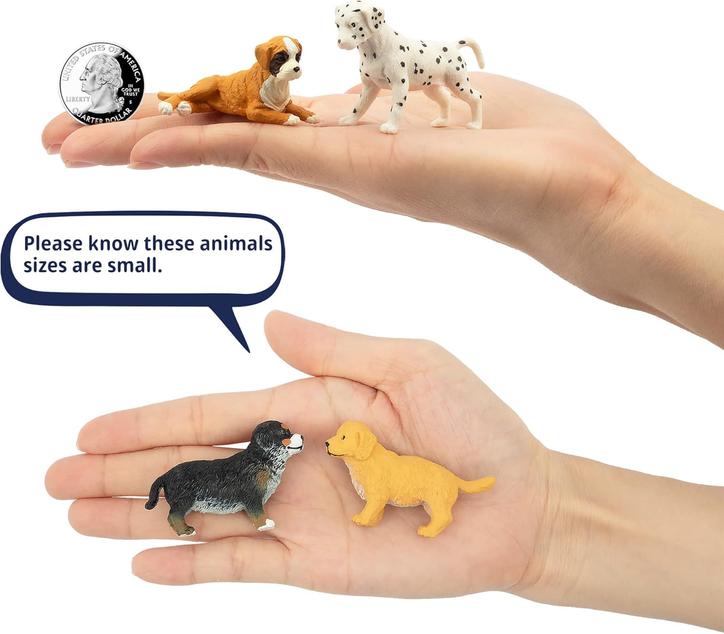 12PCS Mini Dog Figurines Playset, Realistic Detailed Plastic Puppy Figures, Hand Painted Emulational Tiny Dogs Animals Toy Set, Cake Toppers Christmas Birthday Gift for Kids Toddlers