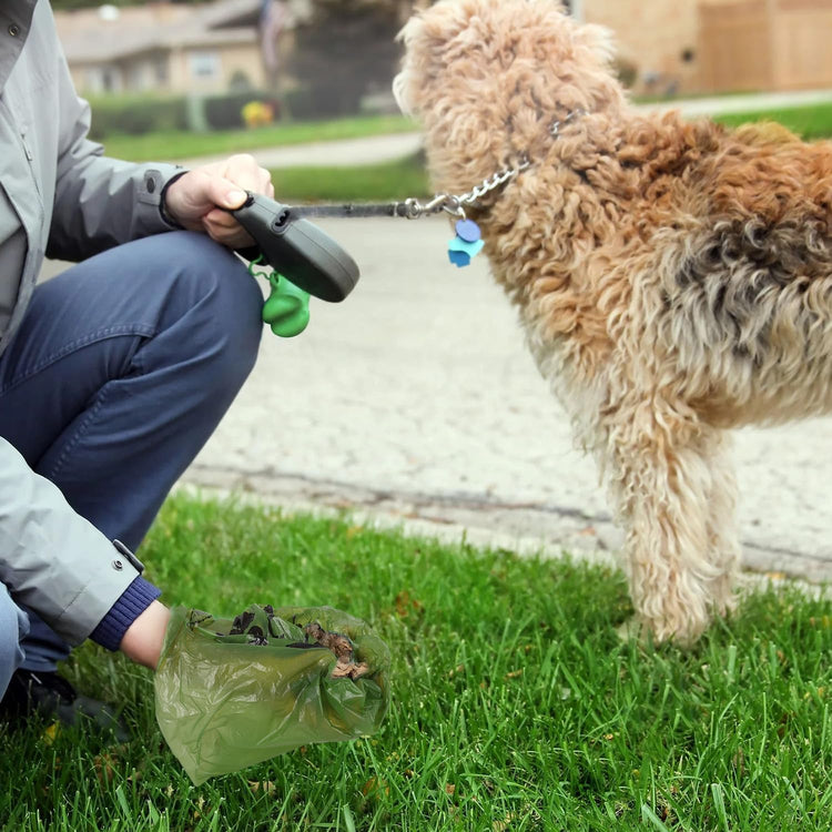 Dog Poop Bags, Extra Thick Biodegradable Bags for Dogs, 260 Count