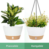 2 Pack 8 Inch Plastic White Hanging Planters with 3 Hooks, Hanging Plant Pot Basket with Drainage Hole for Garden Home