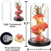 Valentines Day Gifts for Her, Preserved Flower Gift, Light up Rose in Glass Dome
