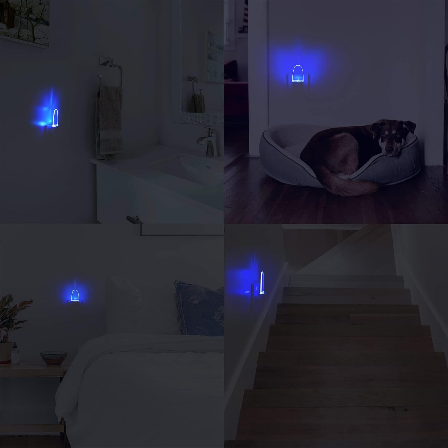 4 Pack Night Light Lamp with Dusk to Dawn Sensor, Plug In, Blue Led Night Light