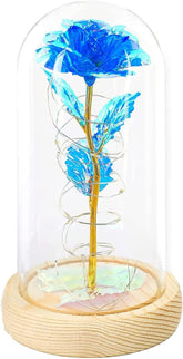 Beauty and the Beast Rose Enchanted Flower with LED Light in Glass Dome for Christmas Valentine&