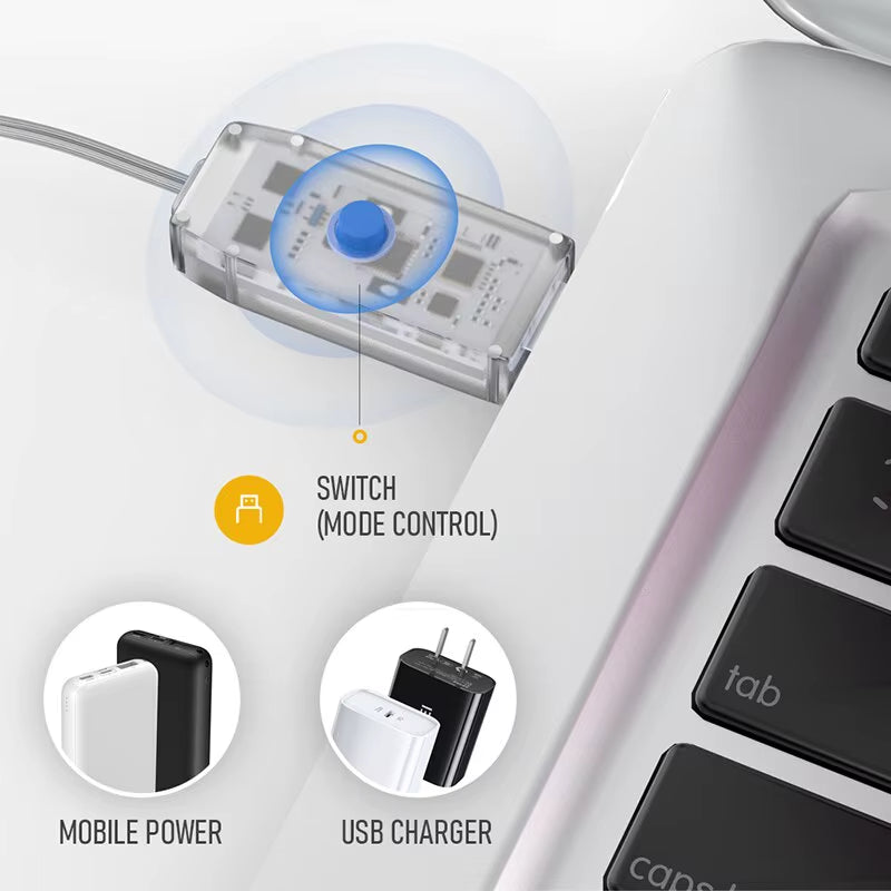 RGB 3X1M Curtain LED Light Christmas Decoration Holiday Home Bedroom Wedding Fairy Garland Lamp USB Plug with Remote